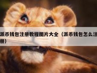 派币钱包注册教程图片大全（派币钱包怎么注册）