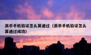 派币手机验证怎么算通过（派币手机验证怎么算通过成功）