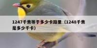 1247千焦等于多少卡路里（1248千焦是多少千卡）