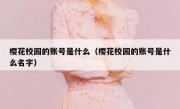 樱花校园的账号是什么（樱花校园的账号是什么名字）