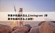 苹果手机国内怎么上instagram（苹果手机国内怎么上油管）