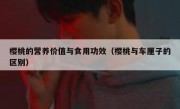 樱桃的营养价值与食用功效（樱桃与车厘子的区别）