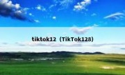 tiktok12（TikTok128）