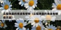 云服务器的用途有哪些（云服务器的用途有哪些方面）