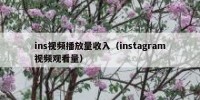ins视频播放量收入（instagram视频观看量）
