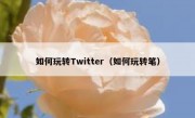 如何玩转Twitter（如何玩转笔）