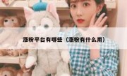 涨粉平台有哪些（涨粉有什么用）