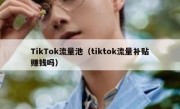 TikTok流量池（tiktok流量补贴赚钱吗）