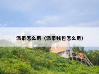 派币怎么用（派币钱包怎么用）
