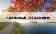 抖音怎样加粉丝群（斗音怎么加粉丝群）