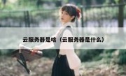 云服务器是啥（云服务器是什么）