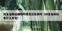 抖音加粉丝赚钱吗现在还能做吗（抖音加粉丝有什么好处）