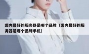 国内最好的服务器是哪个品牌（国内最好的服务器是哪个品牌手机）