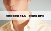 推特限制功能怎么写（推特被限制功能）