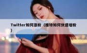 Twitter如何涨粉（推特如何快速增粉）