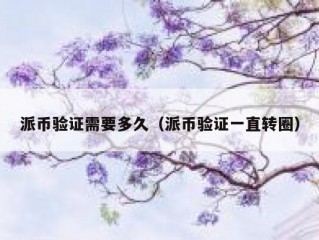 派币验证需要多久（派币验证一直转圈）