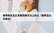 推特粉丝怎么发展到两万以上的人（推特怎么长粉丝）