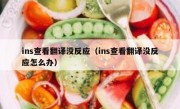 ins查看翻译没反应（ins查看翻译没反应怎么办）