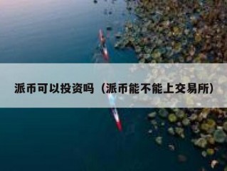 派币可以投资吗（派币能不能上交易所）