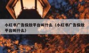小红书广告投放平台叫什么（小红书广告投放平台叫什么）