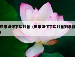 派币如何下载钱包（派币如何下载钱包到手机）
