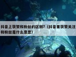 抖音上获赞和粉丝的区别?（抖音里获赞关注和粉丝是什么意思）
