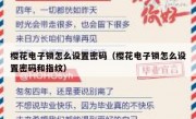 樱花电子锁怎么设置密码（樱花电子锁怎么设置密码和指纹）