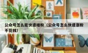 公众号怎么能快速增粉（公众号怎么快速涨粉不花钱）