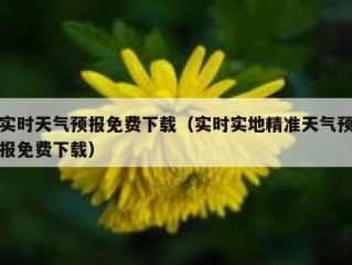 实时天气预报免费下载（实时实地精准天气预报免费下载）