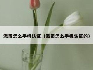派币怎么手机认证（派币怎么手机认证的）