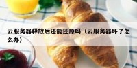 云服务器释放后还能还原吗（云服务器坏了怎么办）