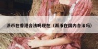派币在香港合法吗现在（派币在国内合法吗）