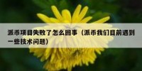 派币项目失败了怎么回事（派币我们目前遇到一些技术问题）