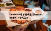 facebook看不到动态（facebook看不了个人主页）