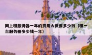 网上租服务器一年的费用大概要多少钱（租一台服务器多少钱一年）