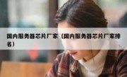 国内服务器芯片厂家（国内服务器芯片厂家排名）