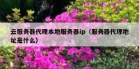 云服务器代理本地服务器ip（服务器代理地址是什么）