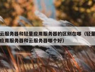 云服务器和轻量应用服务器的区别在哪（轻量应用服务器和云服务器哪个好）