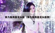 算力服务器龙头股（算力服务器龙头股票）