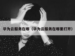 华为云服务在哪（华为云服务在哪里打开）
