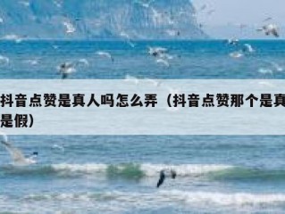 抖音点赞是真人吗怎么弄（抖音点赞那个是真是假）