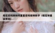 樱花密码锁如何重置密码视频教学（樱花锁重设密码）