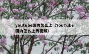 youtube国内怎么上（YouTube国内怎么上传视频）