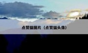 点赞猫图片（点赞猫头像）