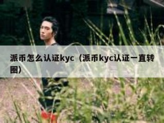派币怎么认证kyc（派币kyc认证一直转圈）