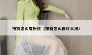 推特怎么有粉丝（推特怎么粉丝大涨）