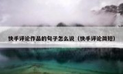快手评论作品的句子怎么说（快手评论简短）