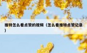 推特怎么看点赞的视频（怎么看推特点赞记录）