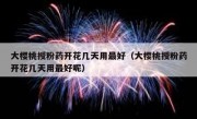 大樱桃授粉药开花几天用最好（大樱桃授粉药开花几天用最好呢）