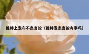 推特上发布不良言论（推特发表言论有事吗）